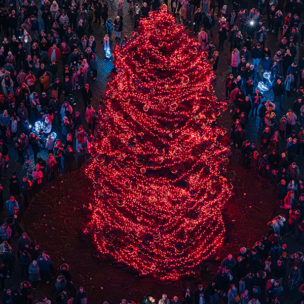 Sapin Rouge